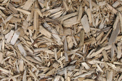 biomass boilers Llaneilian